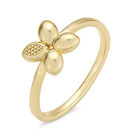 Hersteller-Originalaufnahme: RING; abgebildete Ausführung 44016810-21-0-0-0-48