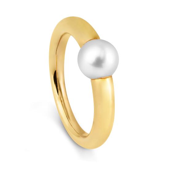Hersteller-Originalaufnahme: RING - C.ZP; abgebildete Ausführung 43880040-21-17-0-0-48
